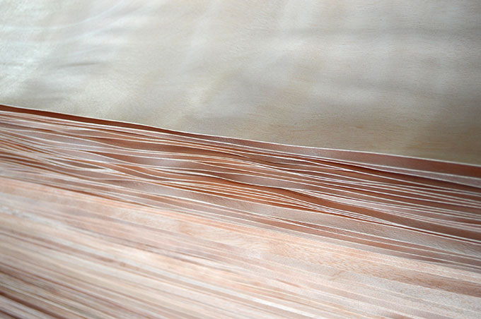 The mountain sweet osmanthus veneer