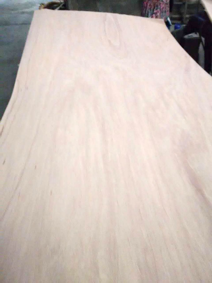 The mountain sweet osmanthus veneer